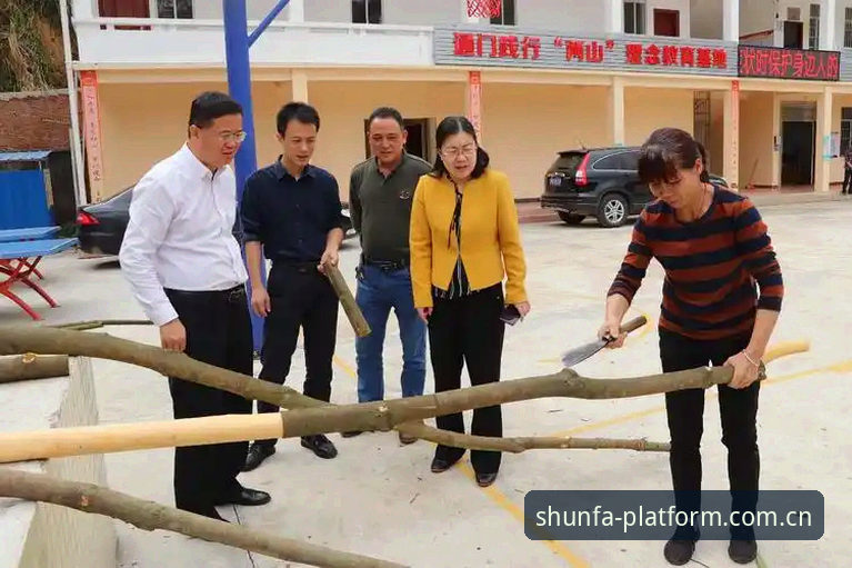 球迷张伟的三年数据观察：顺发体育官网里的比赛另一面